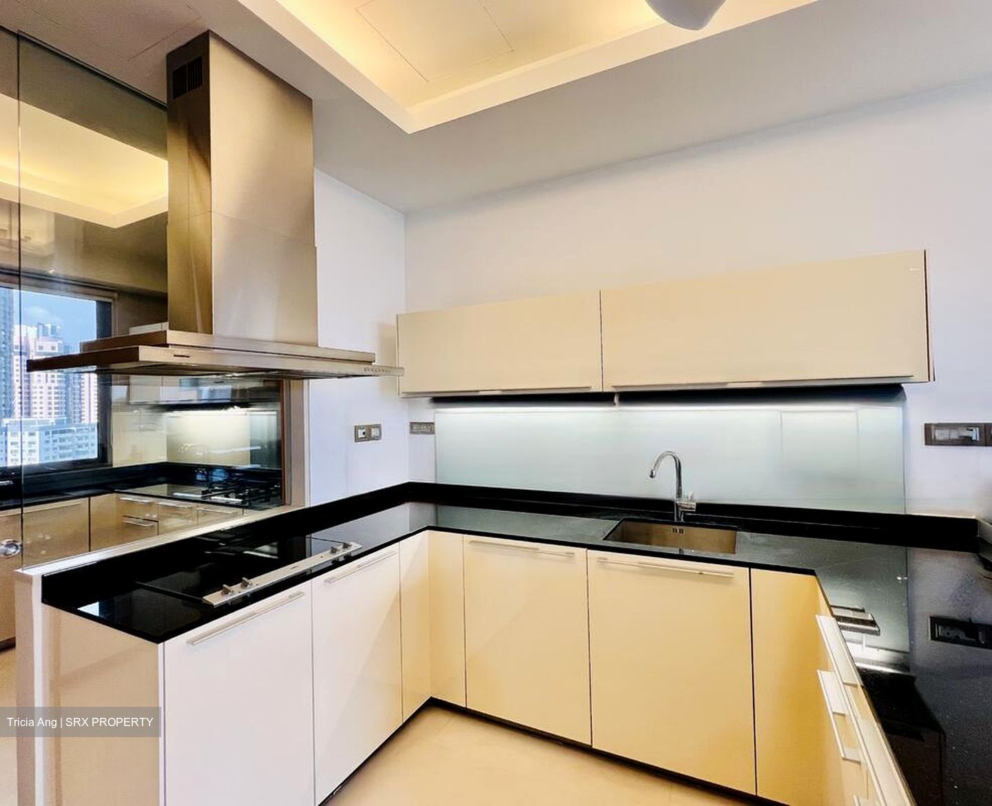 Parkview Eclat (D10), Condominium #476495321